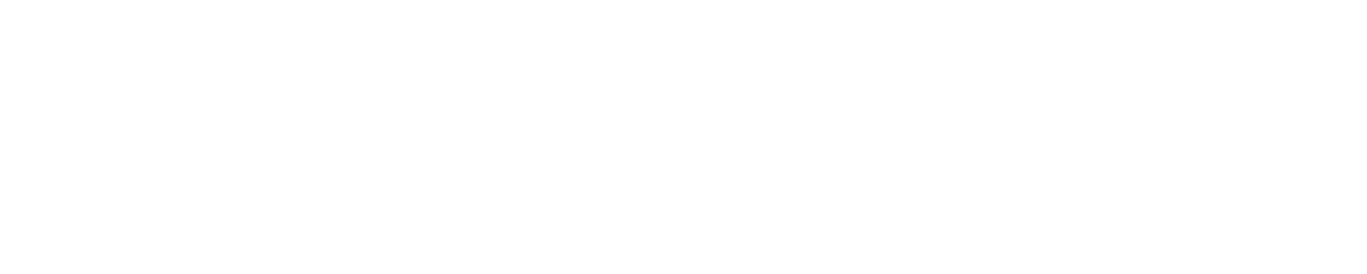 Finditoo Logo weiss